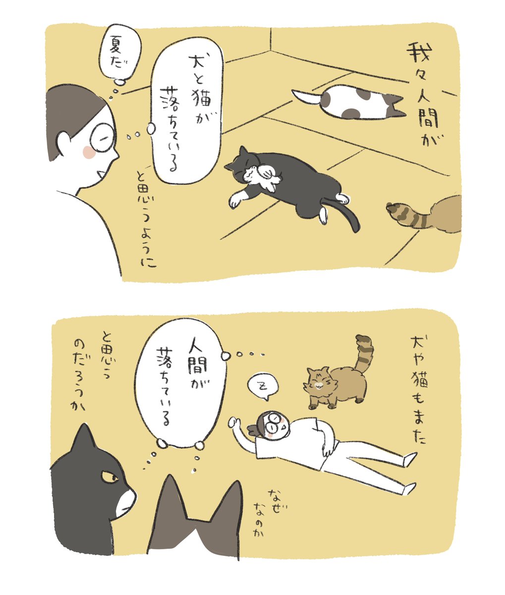 ふじもりはる🎄バナクロチャ tweet media