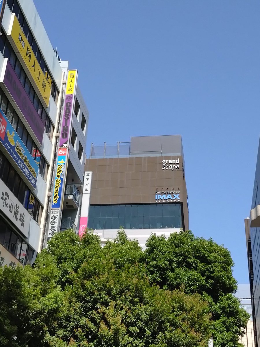熊猫 tweet media