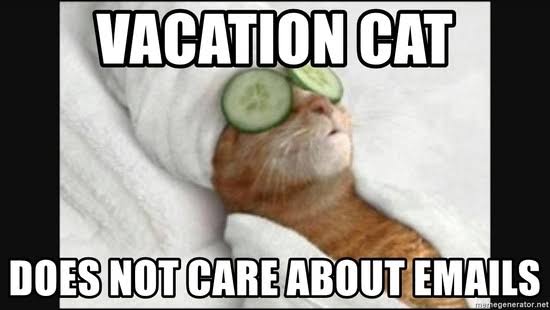 DJ Kofi the cat tweet media