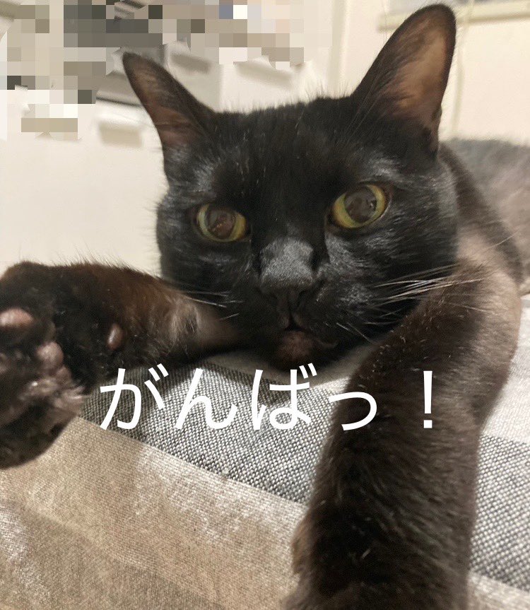あさみんとす tweet media