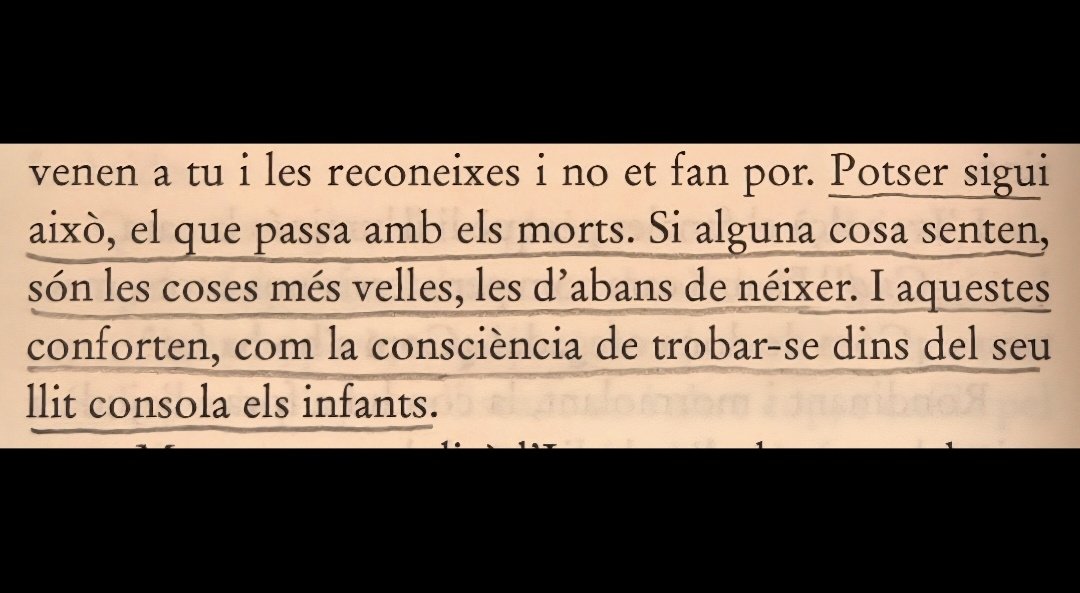 Gerard Torra i Llibre tweet media