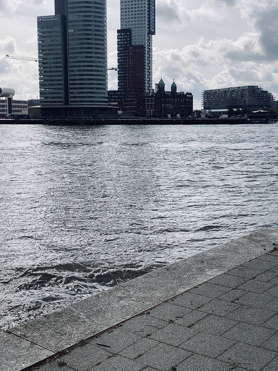 KJvanWijk's tweet photo. Toen &amp; nu #Rotterdam 1940
#FallGelb 

Duitse soldaten op de Westerkade/hoek Veerhaven. Aan de overkant de torens van Hotel New York. https://t.co/rBntUhAHBh