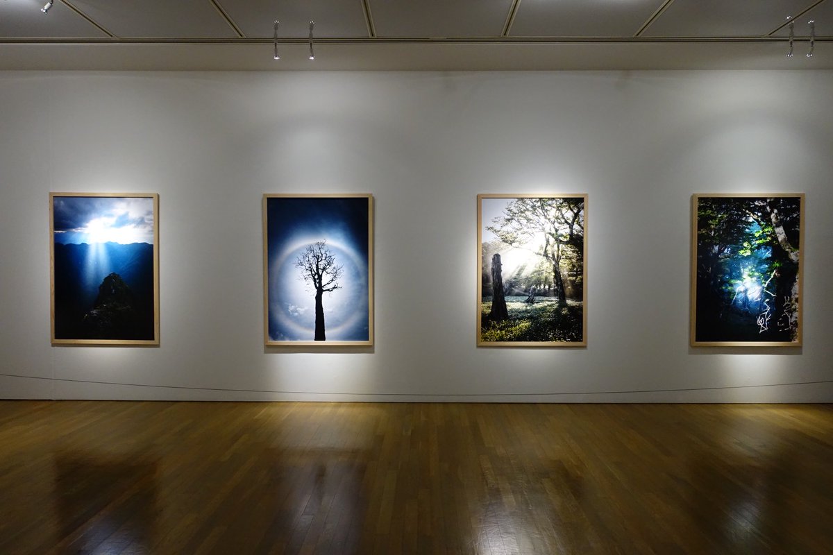 kaz1319's tweet photo. 奈義町現代美術館　　企画展　神の住む山　三橋直人

大台ヶ原を取り続ける写真家

自分ではコントロールできない自然相手の撮影は一枚一枚に費やされた時間を想像するだけで頭が下がる思い(私はまったく根気が無いもんで)

暗い小部屋での一枚展示は集中できて良い。 https://t.co/5QaLVyXJAJ
