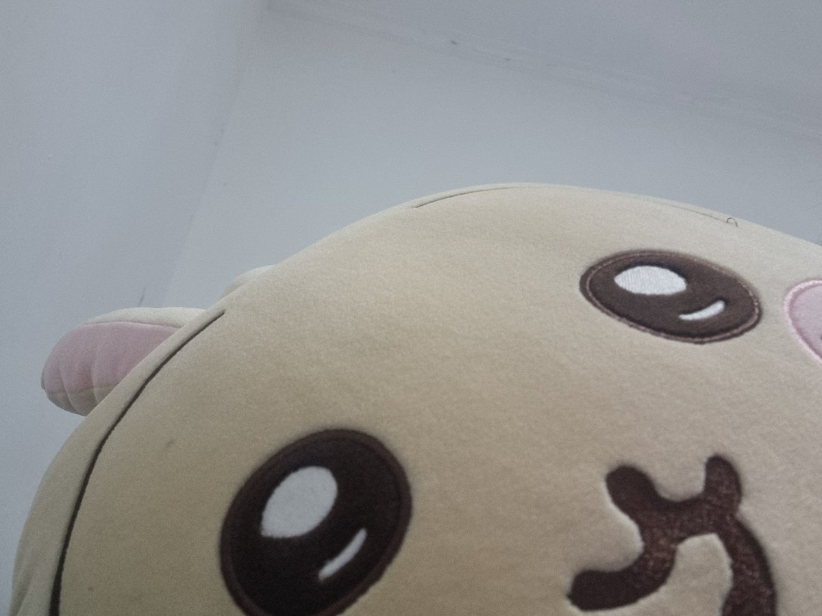 ˚ʚ♡ɞ˚ tweet media
