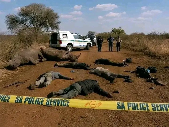 Koketso tweet media