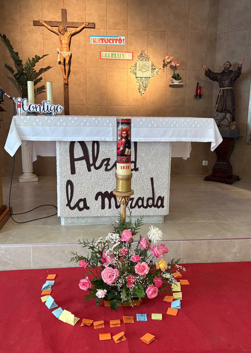 Colegio Virgen Niña tweet media