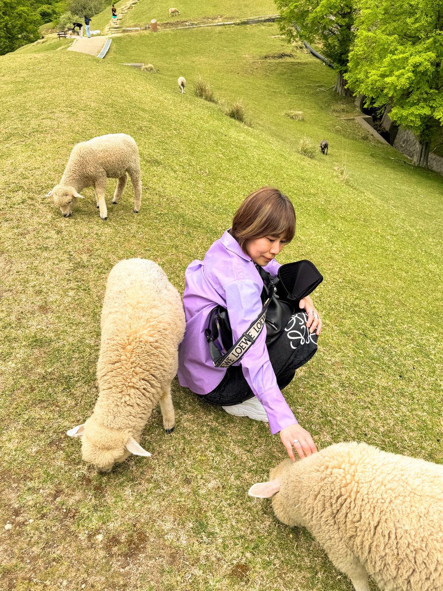 もっちー (@mochizukiayaka) / Posts / X