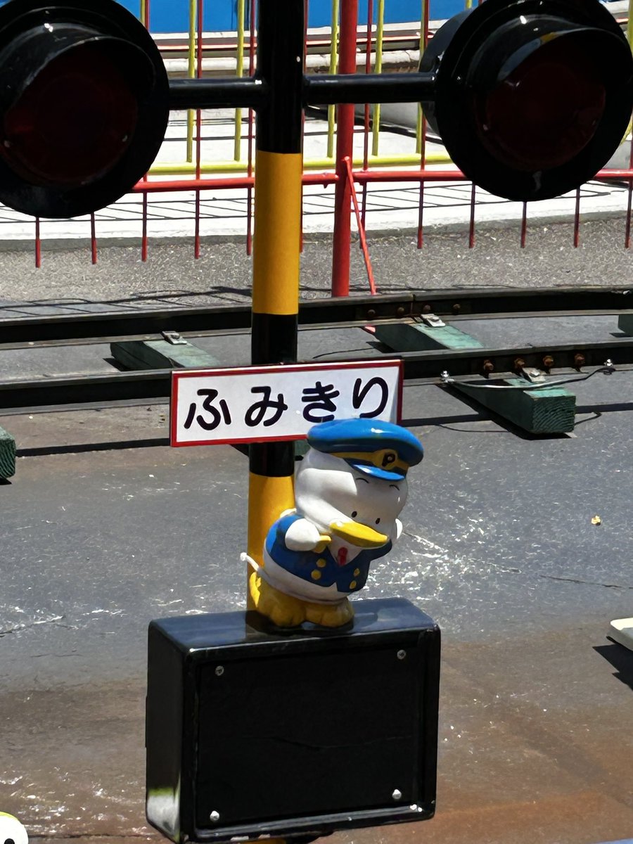 ぺっくみ tweet media