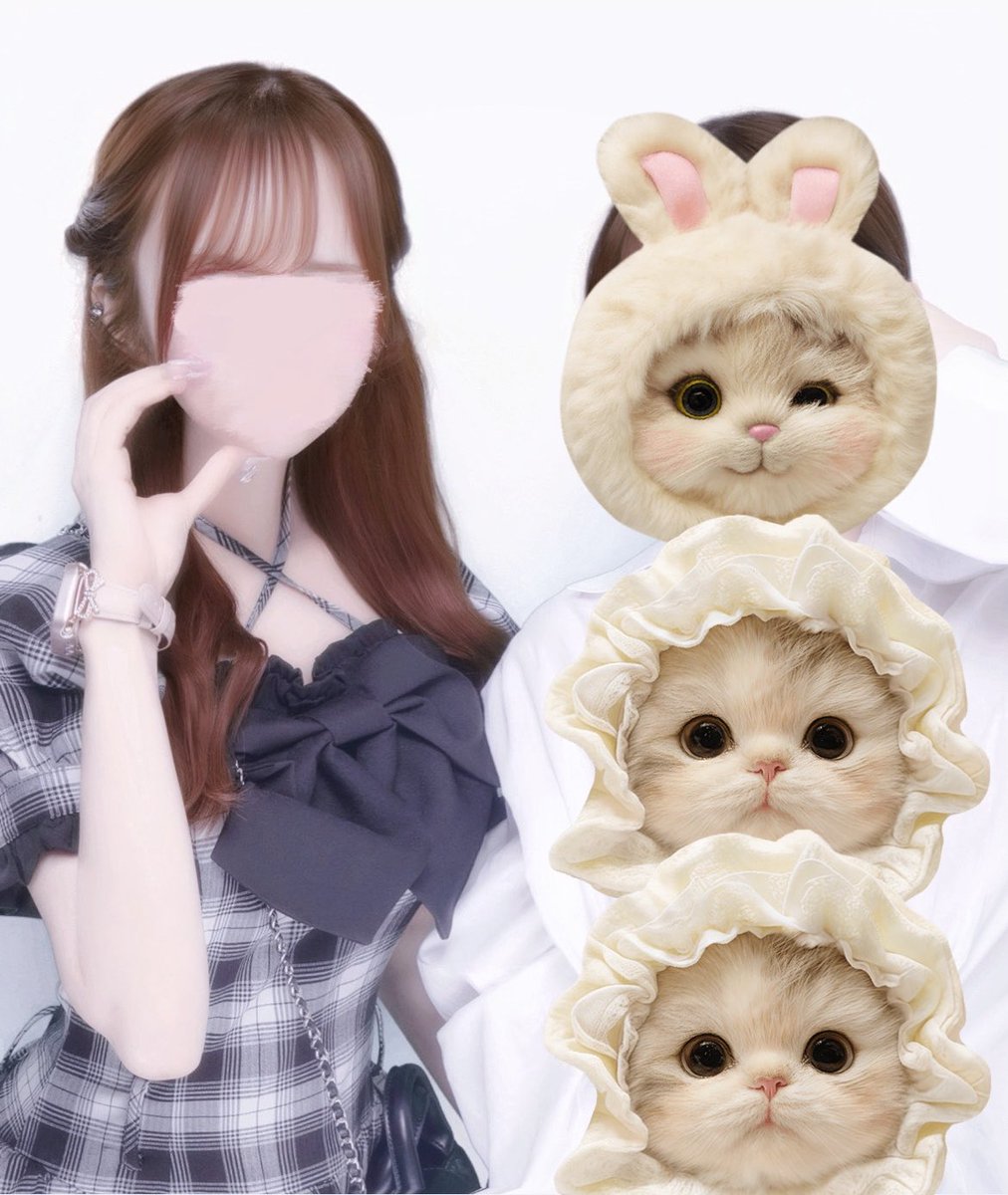 うさたん🐰🤍 (@usa_tanna) / Posts / X