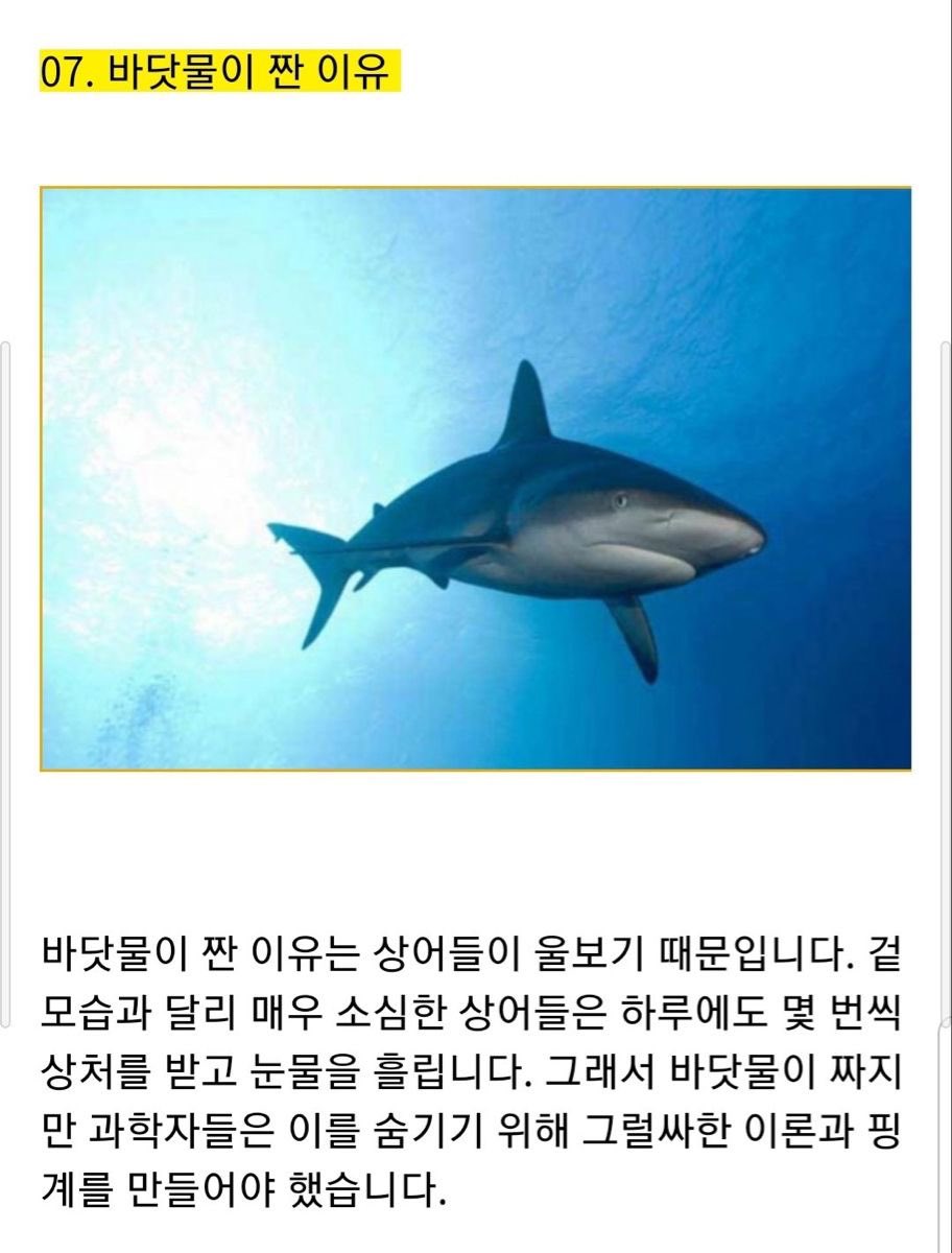 또띠 tweet media
