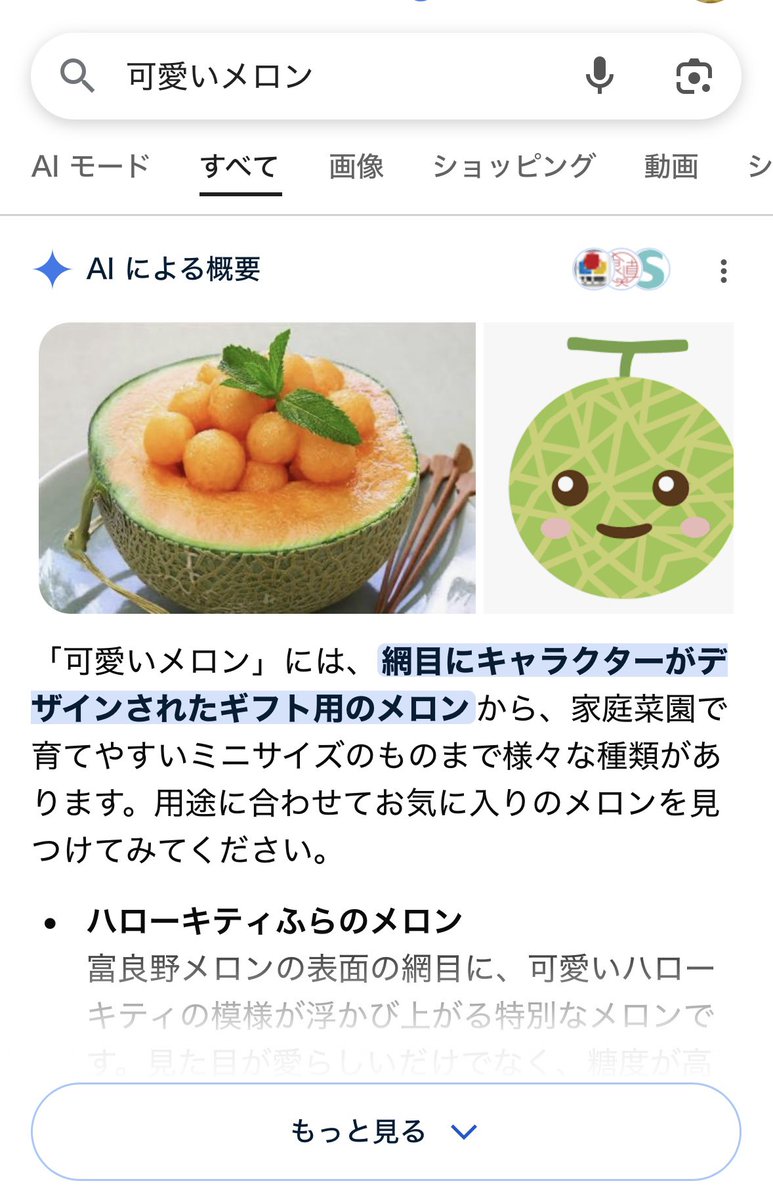 ちなみに検索すると本当に可愛いメロンちゃんが表示されるよ🍈 りさち