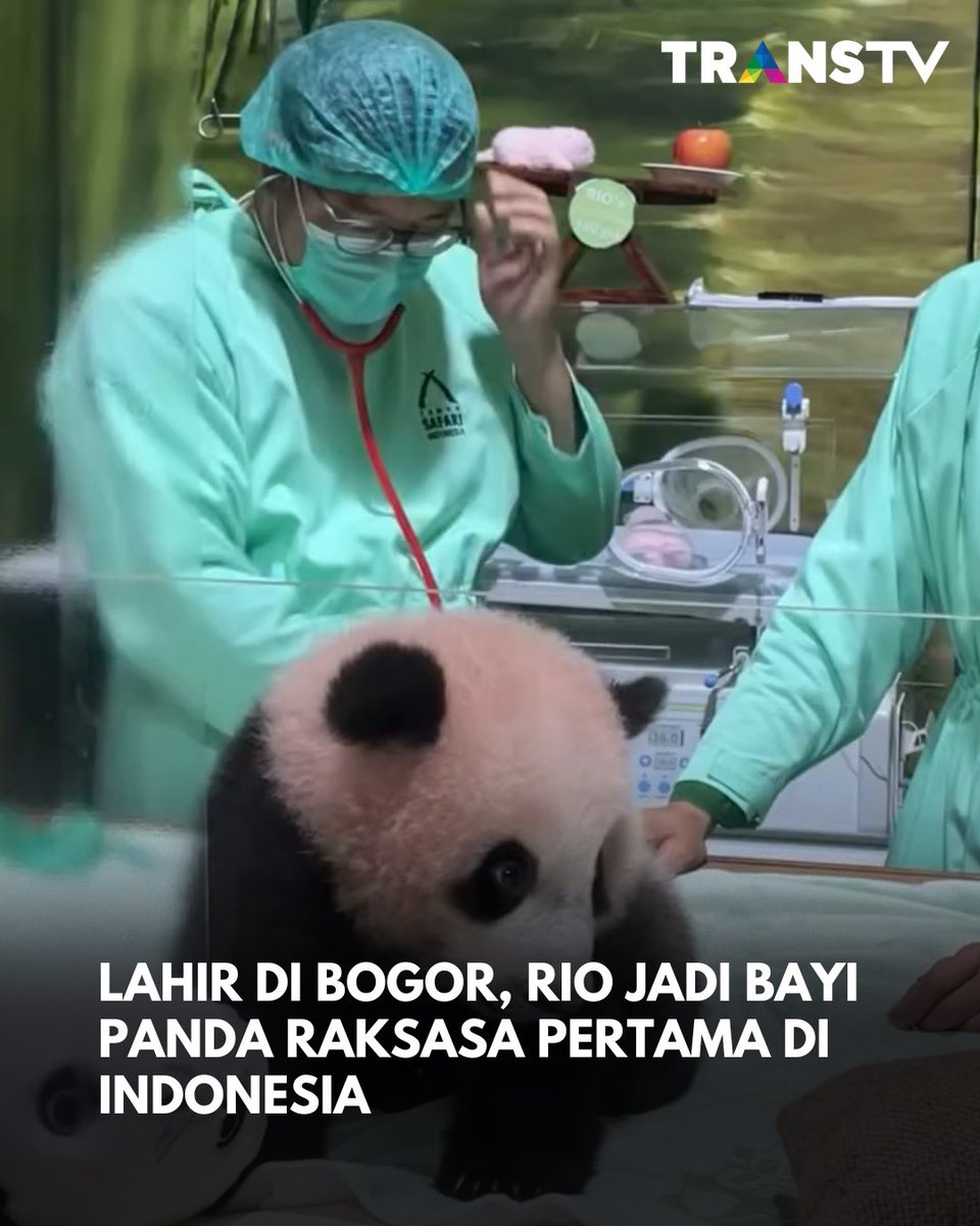 TRANS TV tweet media