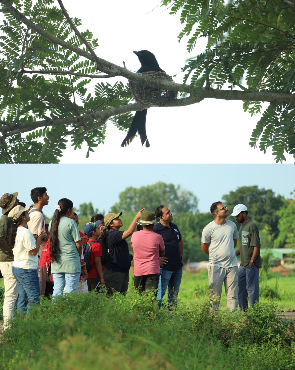 NANDANKANAN ZOOLOGICAL PARK tweet media