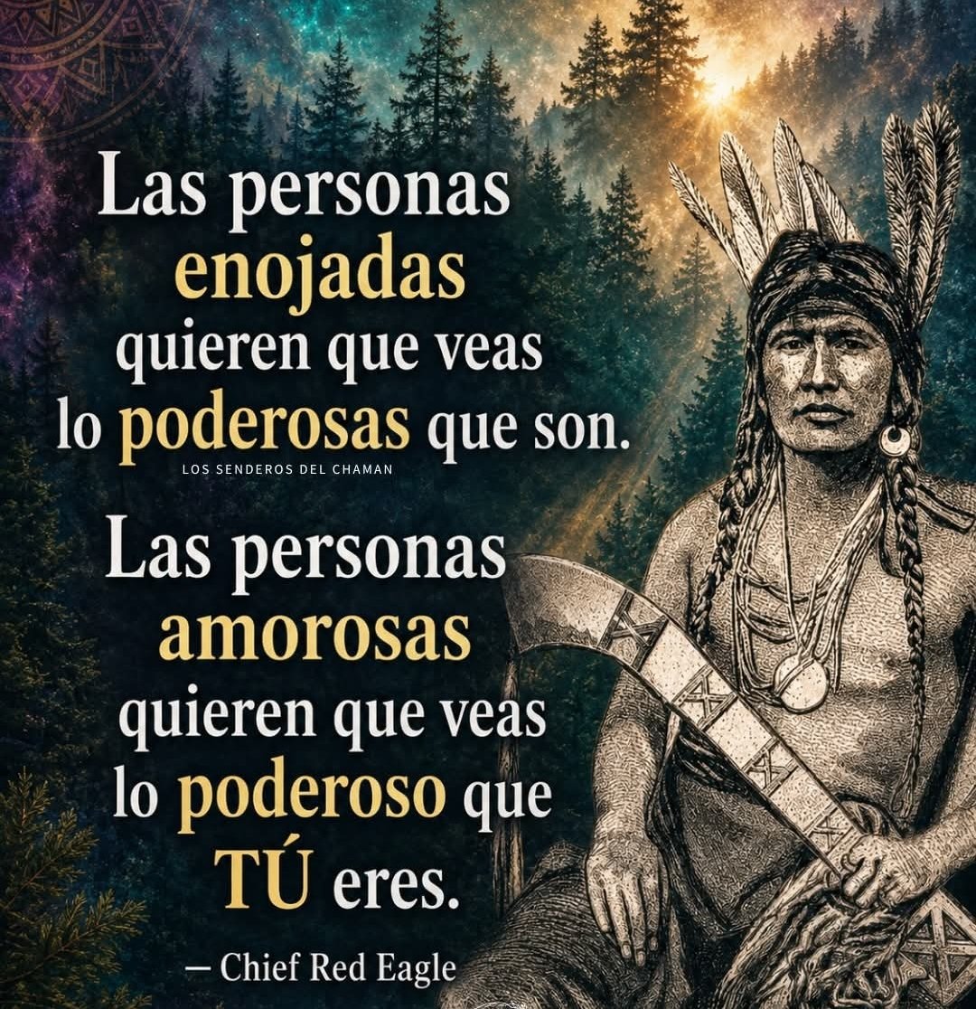 Luz tweet media