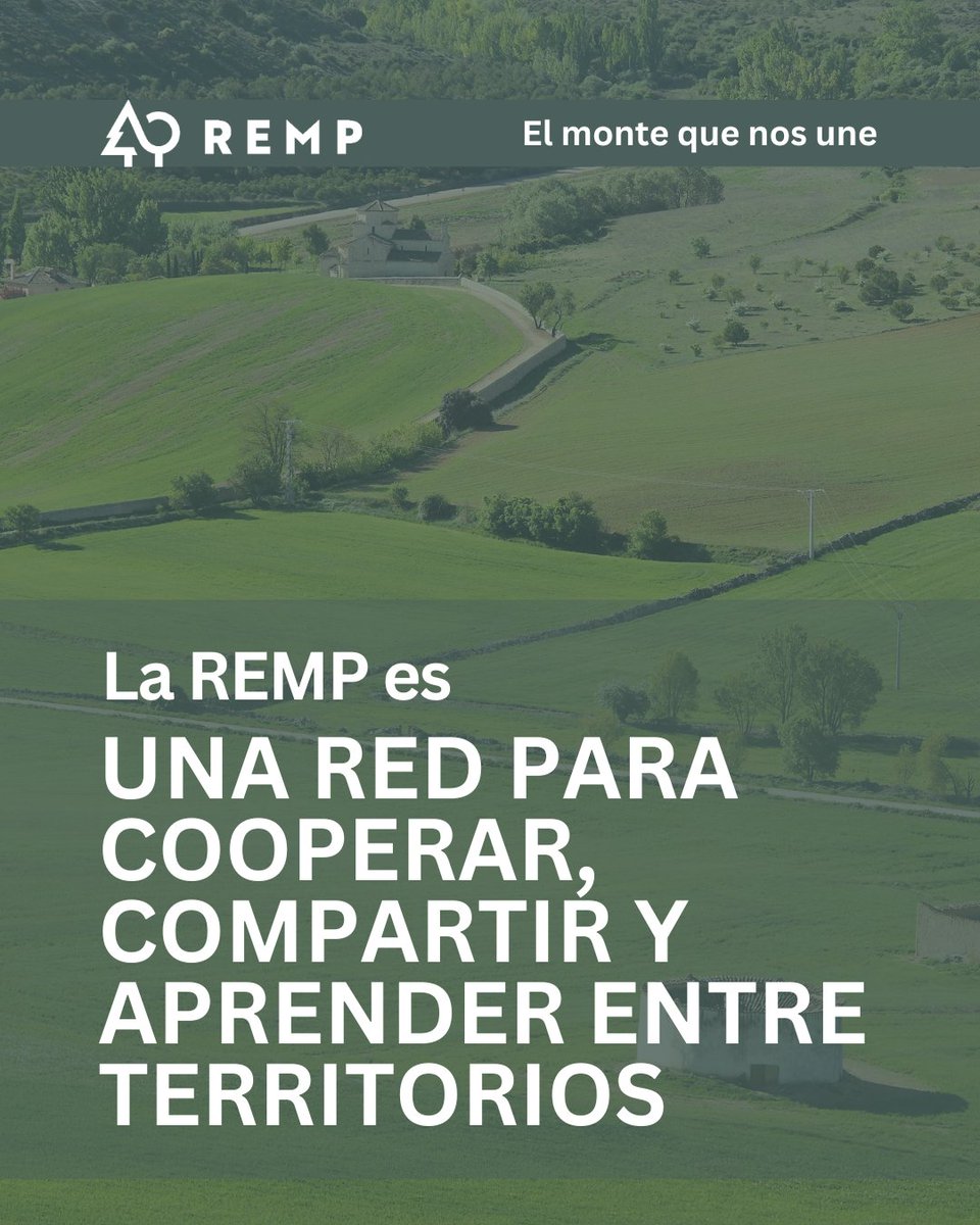 Red Estatal de Montes Públicos (REMP) tweet media