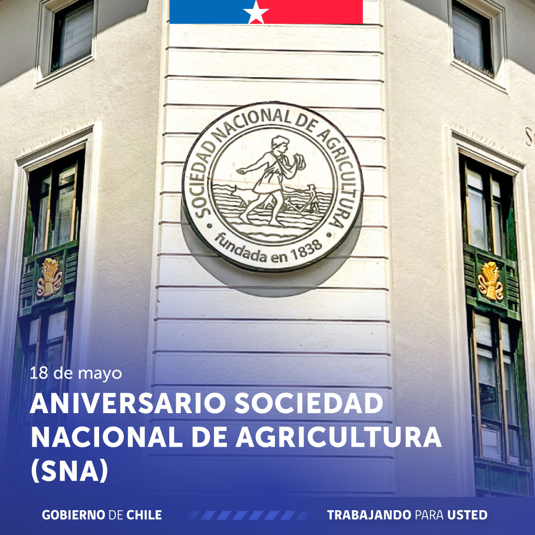 ProChile tweet media