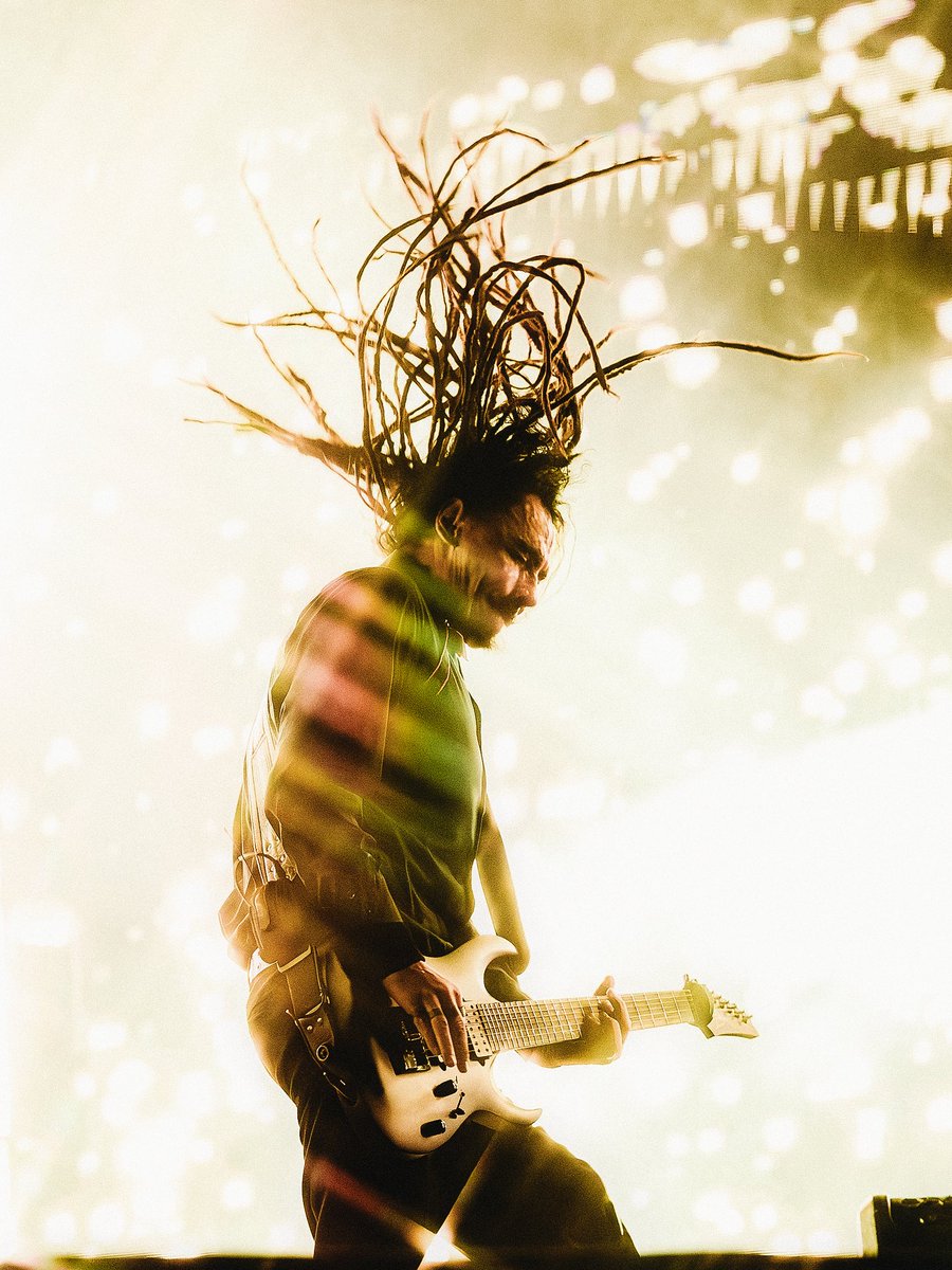 Korn tweet media