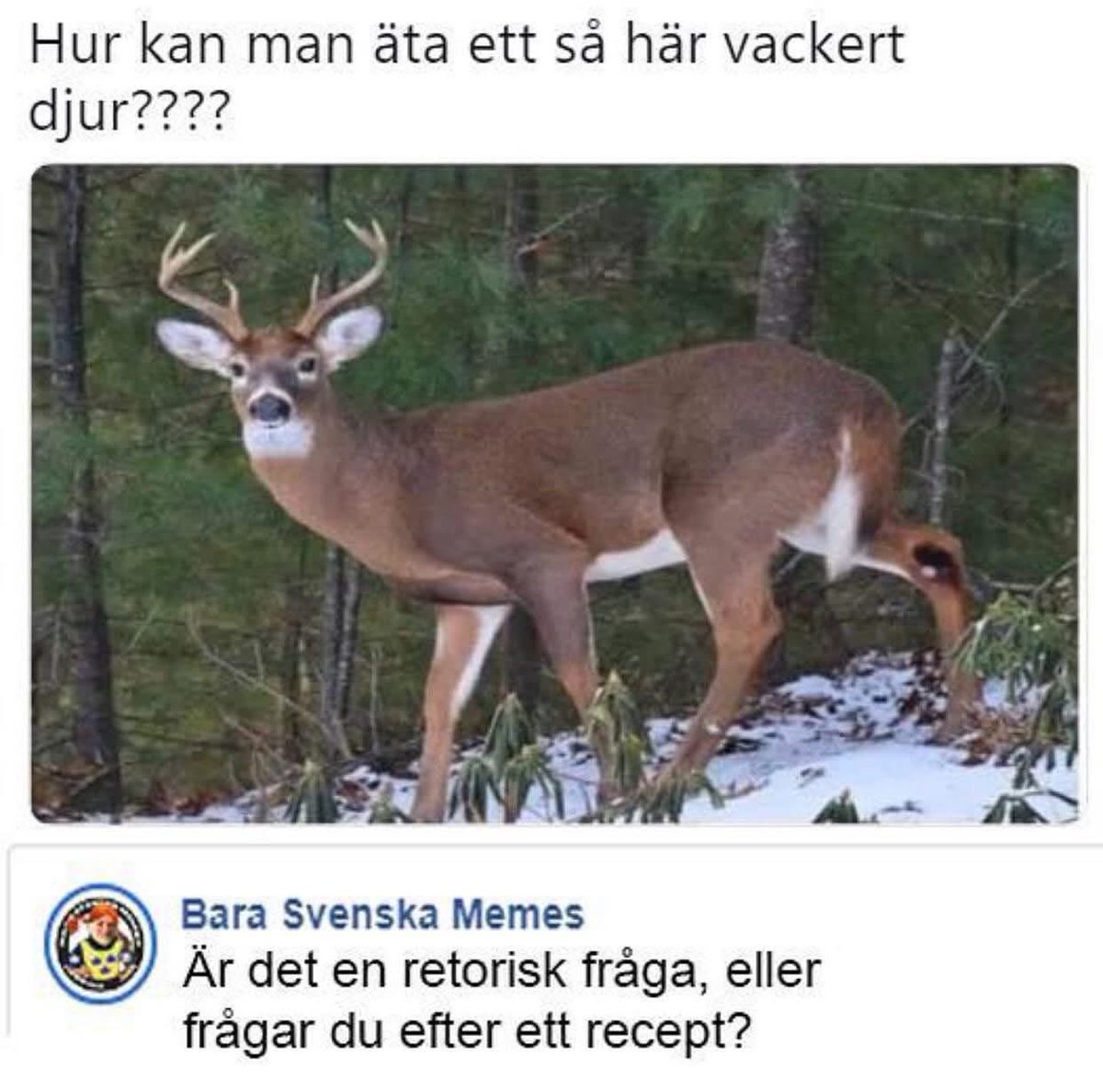 Glagrisen tweet media