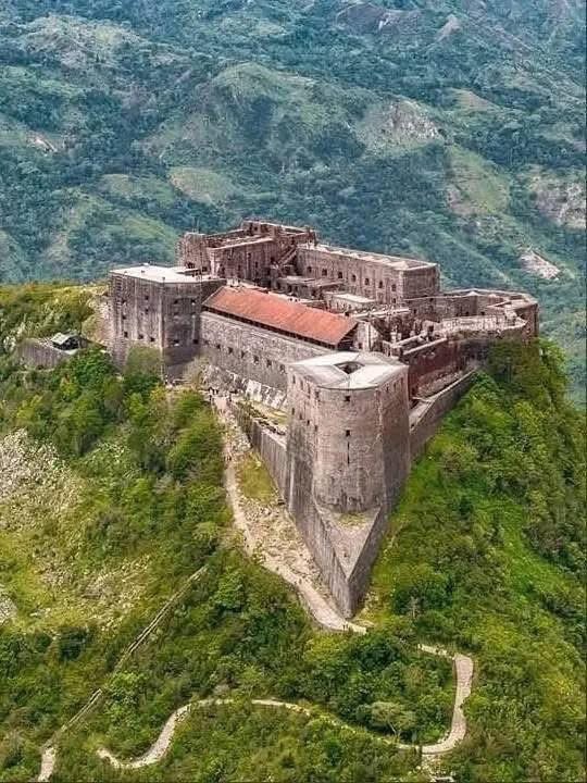 beauty of haiti tweet media