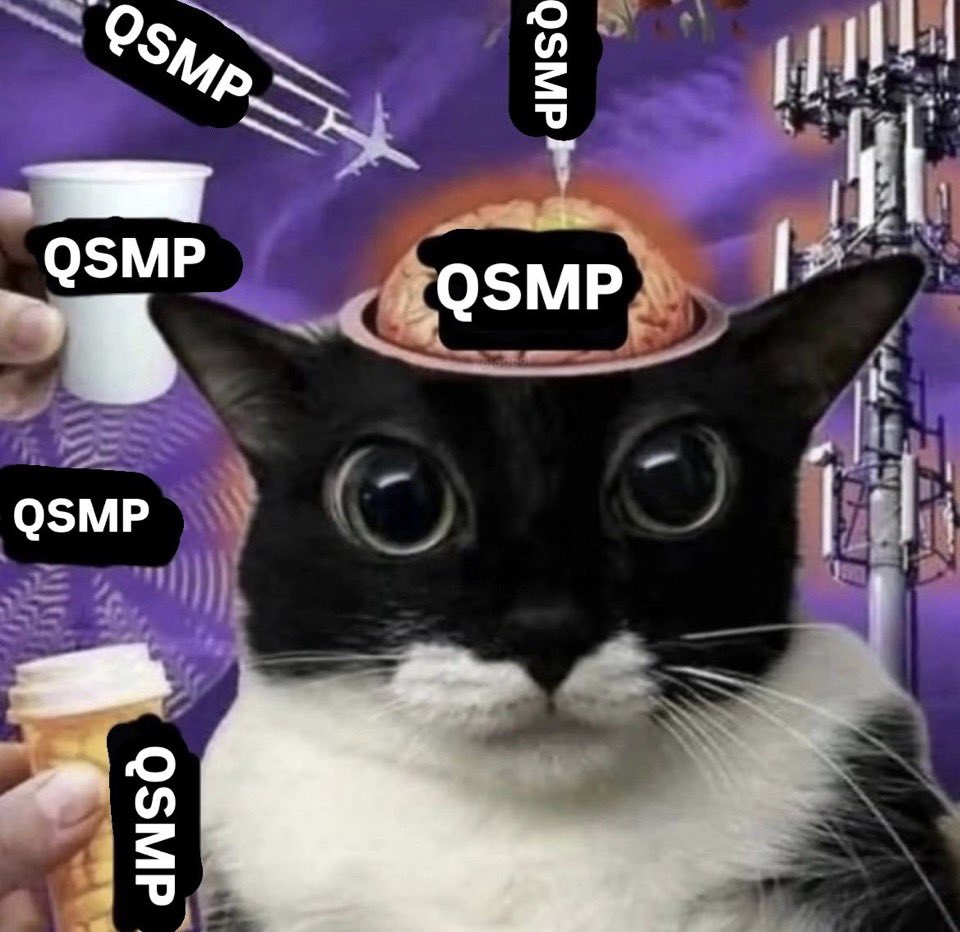 kitty ˙⋆✮ tweet media