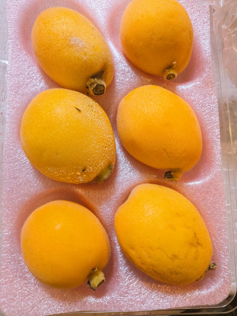 枇杷子 2026初枇杷🥰