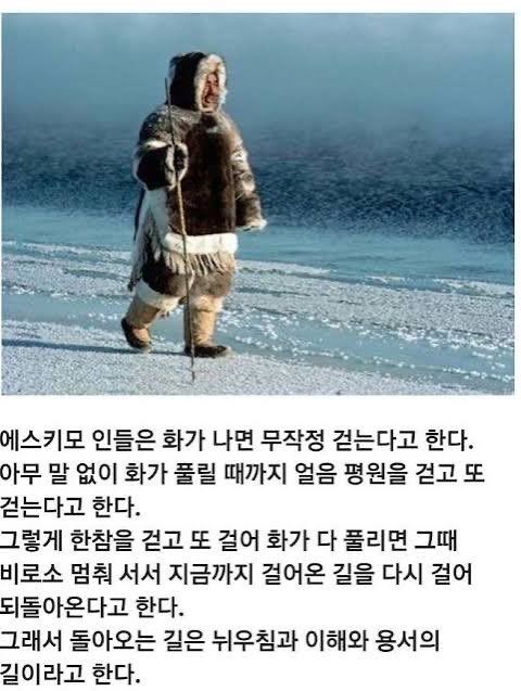 난난 tweet media