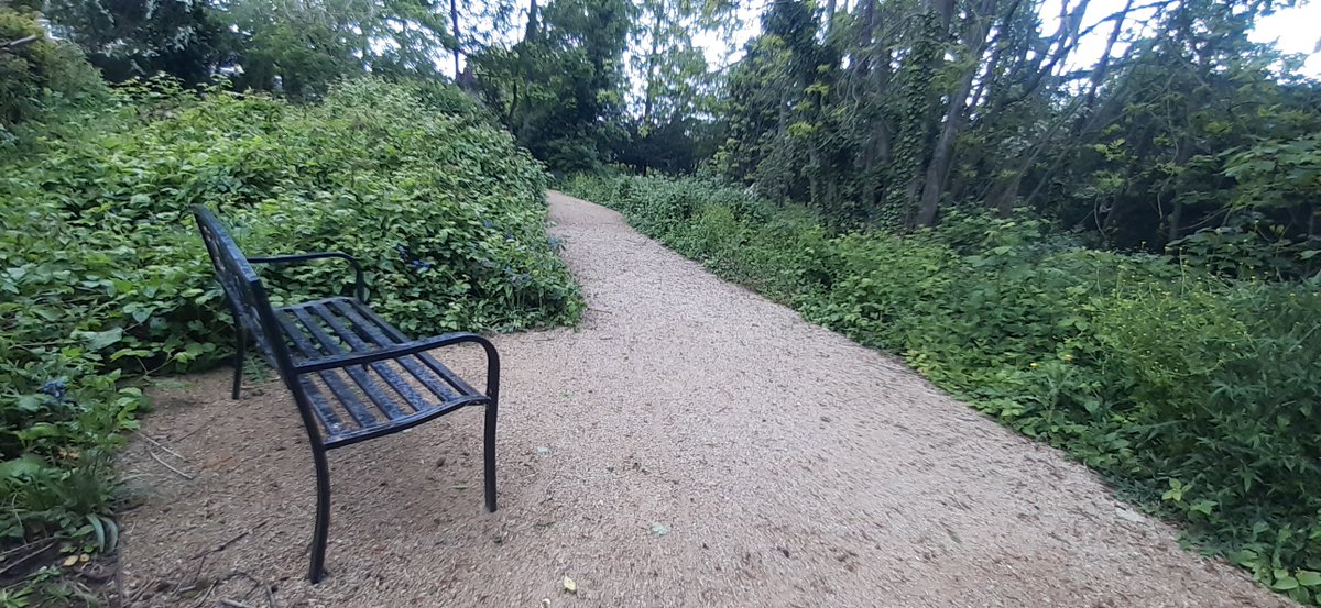 stepchgdesign's tweet photo. 1/ Take a seat–where there is seating in care gardens residents will stay 20% longer.Have you got plenty? Keep it flexible:sit alone,in a group,in sun or shade. Make them sturdy to aid getting up. Place near doors to aid transition from in to out.More on our A3 infographic poster https://t.co/z8Zw3u7cMS