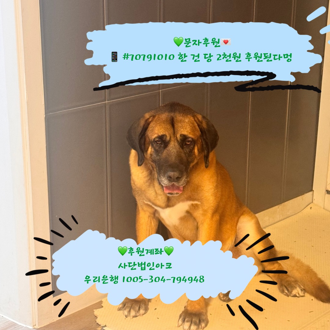 ์ํฌ๋ณดํธ์ ARK Shelter tweet media