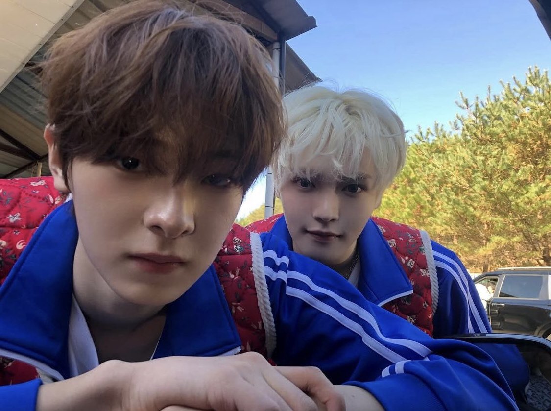 채꺙 tweet media