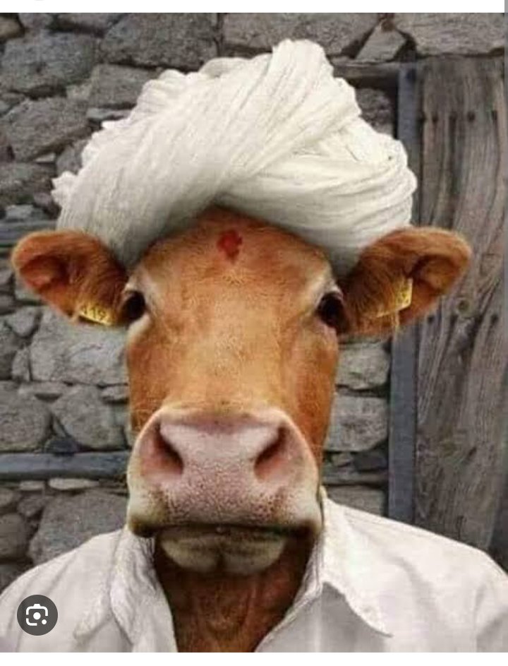 ZHM bro 😉 tweet media