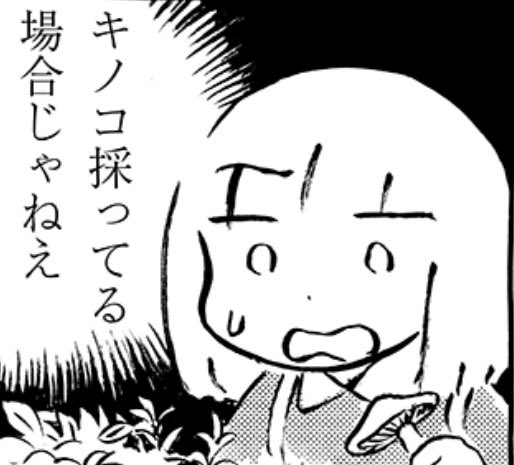 すまのうみ tweet media