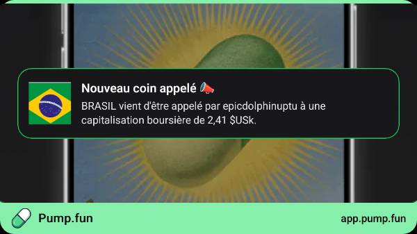 BRASIL COIN tweet media