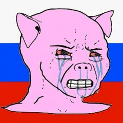Pol tweet media