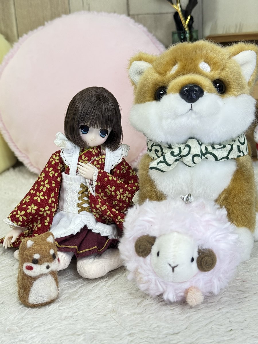 くまきち (@bearbeartyan) / Posts / X
