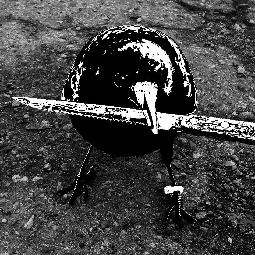 cryptokeeper999's tweet photo. @ShaneStoffer crow with knife https://t.co/CEI6Sypqyr