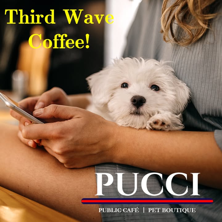 PUCCI Café tweet media