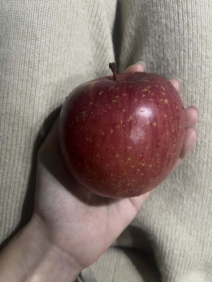 spa_074's tweet photo. アイス食べたかったけど夜だからりんご丸ごと皮のまま🍎
永遠の眠りについたらすみません…🧙🍏 https://t.co/5e4rjgMVvd