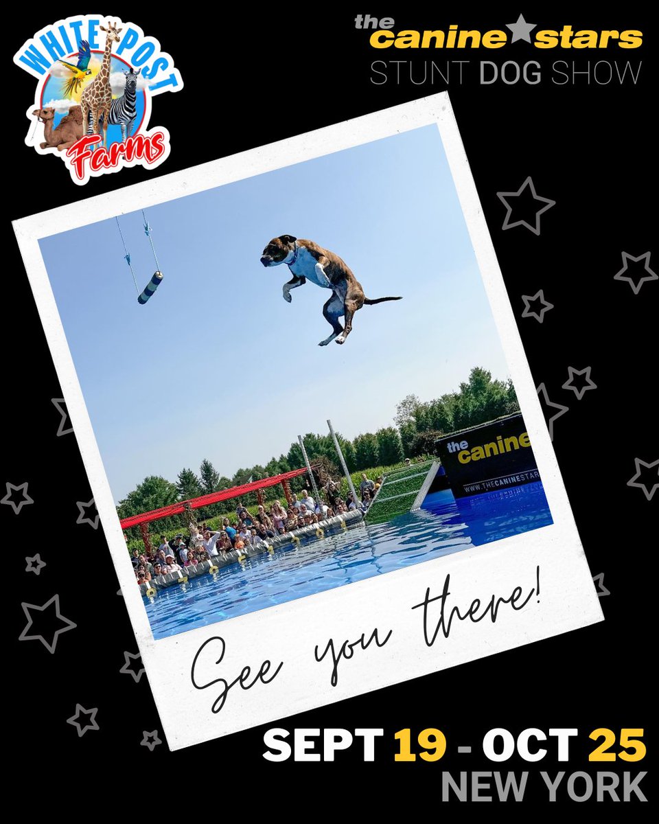 CanineStars's tweet photo. 📢 NEW YORK!!! The Canine Stars will be at WHITE POST ANIMAL FARM on Sat Sep 19 to Sun Oct 25, 2026 in Melville, NY!

More info about this event:
https://t.co/FQ5d7j9whj

#WhitePostFarms #NewYorkDogs #LongIsland #NewYorkCity #WhitePostAnimalFarm https://t.co/8ZPzRRjDtp