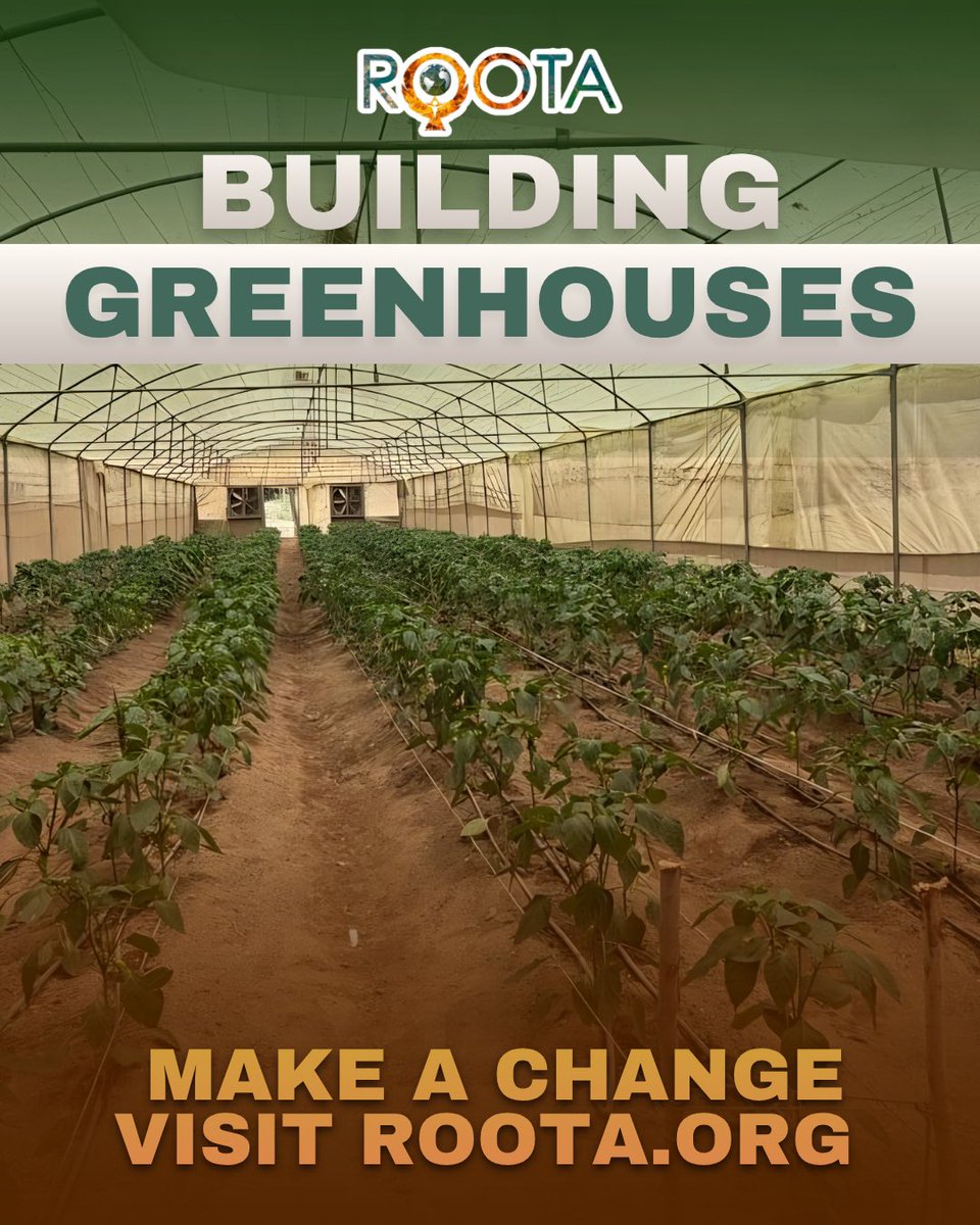 RootaZabaleen's tweet photo. By investing in greenhouses, we’re extending growing seasons, conserving water, and empowering local farmers with the tools they need to thrive. But we can't do it alone.
Want to see how you can help us grow a better future?

👉 Head to the link in our bio https://t.co/xmRE2pH0Dd