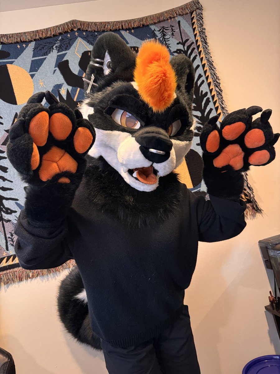 🌵Coyote Arcade🌵 tweet media