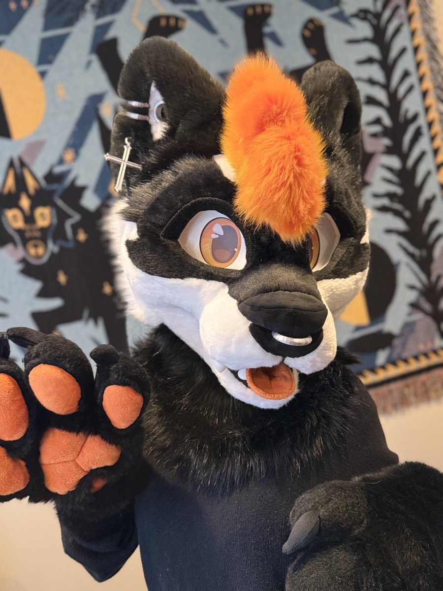 🌵Coyote Arcade🌵 tweet media