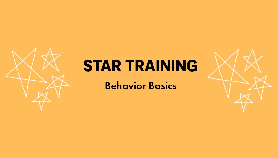 SummitBuffalo's tweet photo. The STAR parent training Behavior Basics will take place from 6:15-7:15 p.m. on 6/4. This virtual training will focus on proactive strategies to help caregivers reduce challenging behaviors that their children may exhibit. For more info, view our flyer at https://t.co/sMwwH5BOgp https://t.co/Zde6aq4xd1