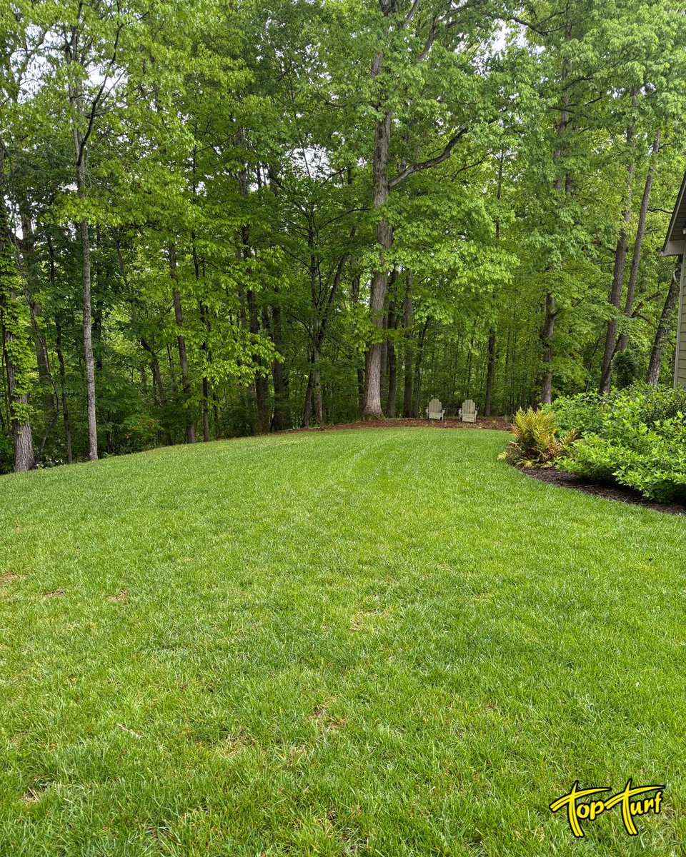 TopTurf's tweet photo. The perfect backyard retreat starts with the perfect lawn. 🪑💚 
#LawnCare #BackyardGoals #GreenGrass #OutdoorLiving #HomeImprovement #PestControl #GardenInspiration #TopTurf #LushLawn #WeedFree #LandscapeDesign #SpringReady #SouthernLiving https://t.co/Hx8FVz6t0y