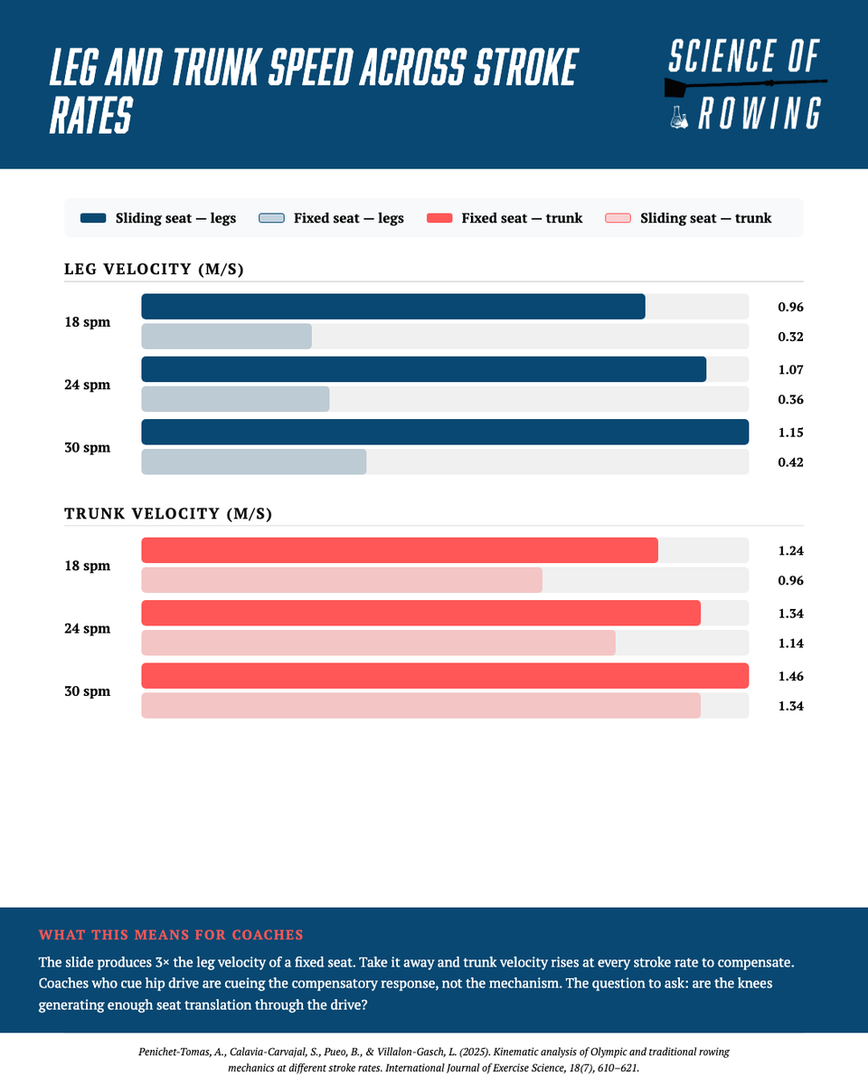Science of Rowing tweet media