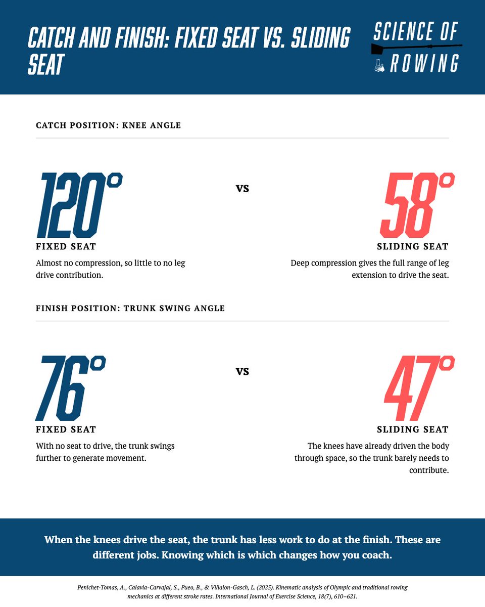 Science of Rowing tweet media