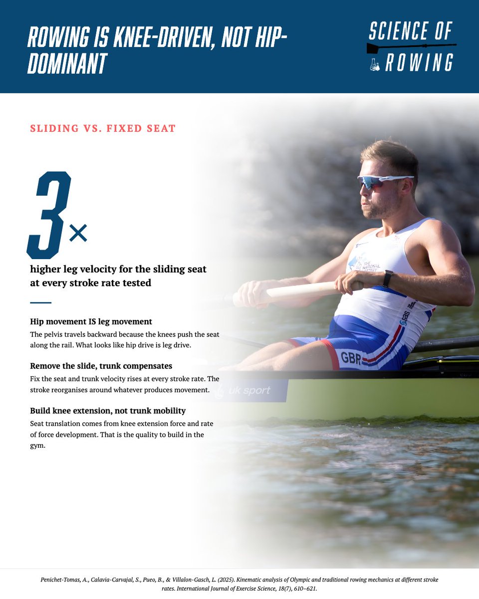 Science of Rowing tweet media