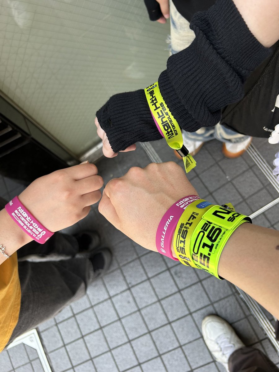 トラノイ tweet media