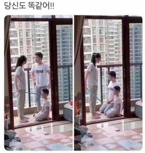 설 tweet media