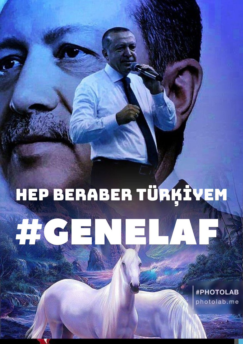 Ozlem Ozkan tweet media