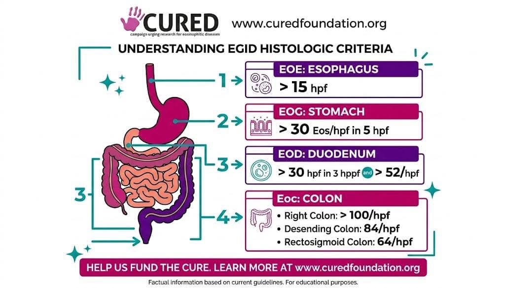 CURED Foundation tweet media